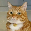 Артур's avatar